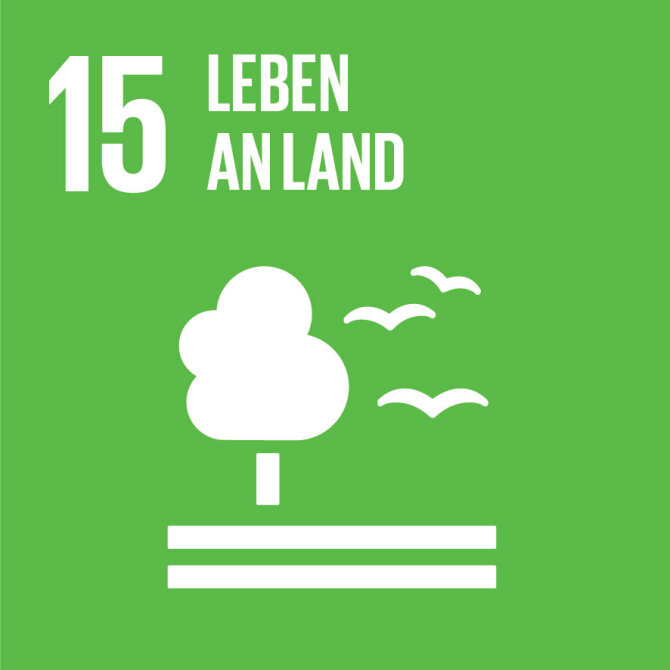 Sustainable Development Goal 15: Leben an Land