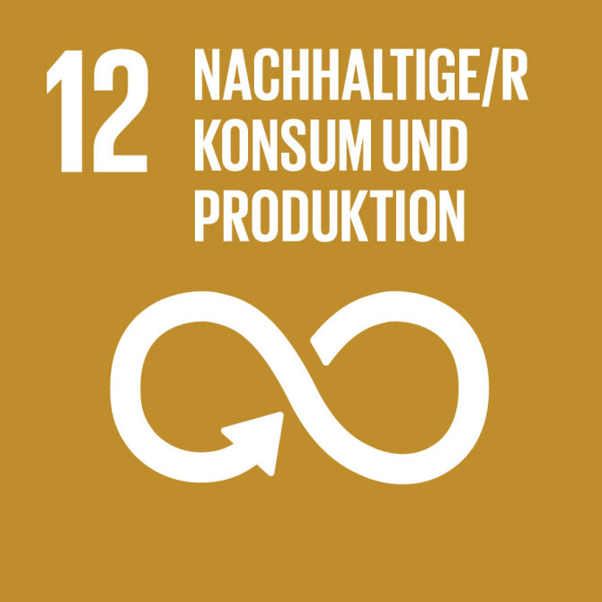 Sustainable Development Goal 12: Nachhaltige/r Konsum und Produktion