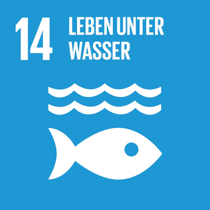 Sustainable Development Goal 14: Leben unter Wasser